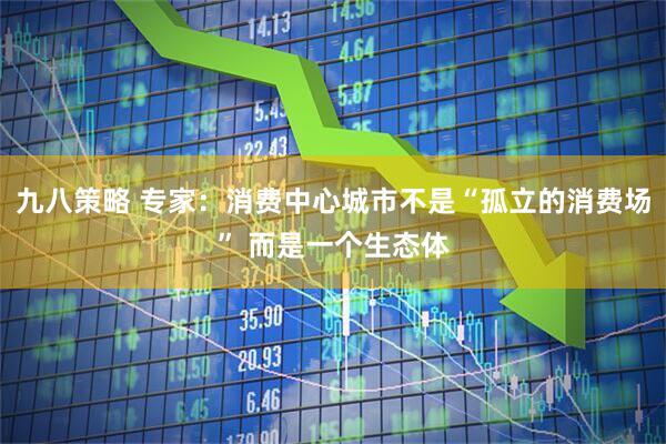 九八策略 专家：消费中心城市不是“孤立的消费场” 而是一个生态体