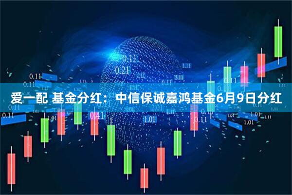 爱一配 基金分红：中信保诚嘉鸿基金6月9日分红