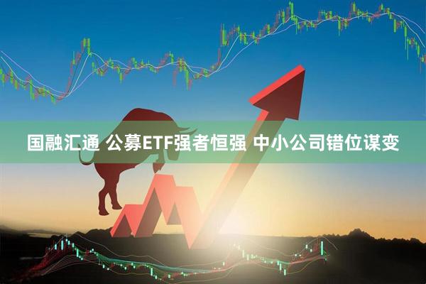 国融汇通 公募ETF强者恒强 中小公司错位谋变