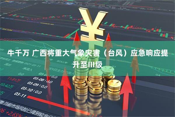 牛千万 广西将重大气象灾害（台风）应急响应提升至Ⅲ级