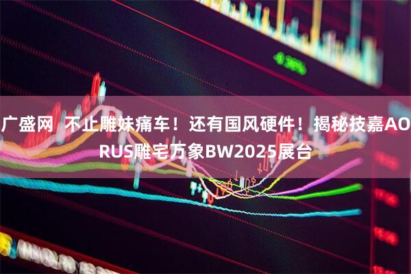 广盛网  不止雕妹痛车！还有国风硬件！揭秘技嘉AORUS雕宅万象BW2025展台