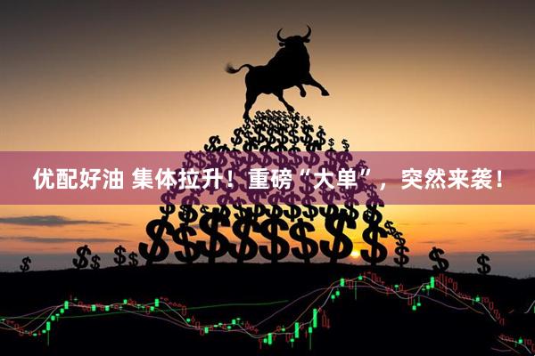 优配好油 集体拉升！重磅“大单”，突然来袭！