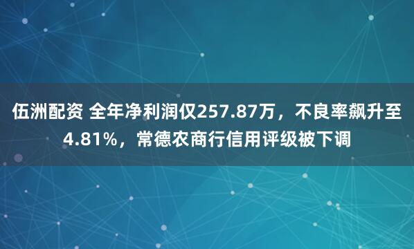 伍洲配资 全年净利润仅257.87万，不良率飙升至4.81%，常德农商行信用评级被下调