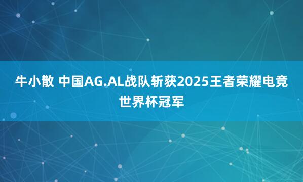 牛小散 中国AG.AL战队斩获2025王者荣耀电竞世界杯冠军