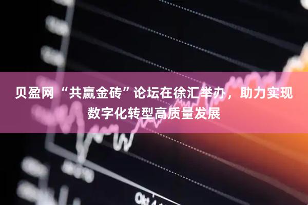 贝盈网 “共赢金砖”论坛在徐汇举办，助力实现数字化转型高质量发展