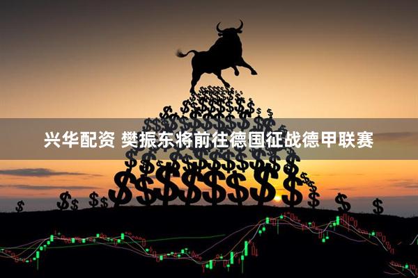 兴华配资 樊振东将前往德国征战德甲联赛