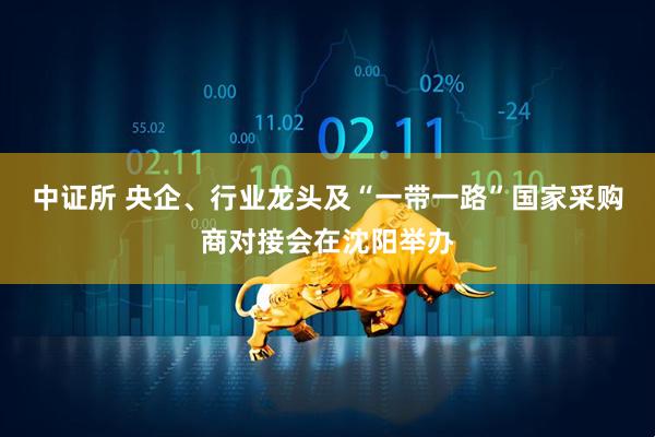 中证所 央企、行业龙头及“一带一路”国家采购商对接会在沈阳举办
