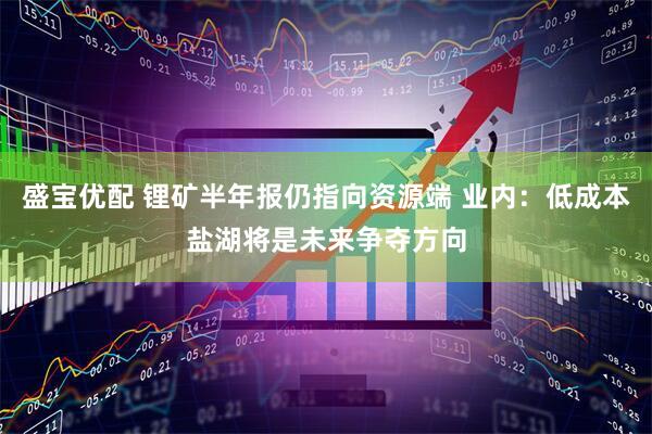 盛宝优配 锂矿半年报仍指向资源端 业内：低成本盐湖将是未来争夺方向