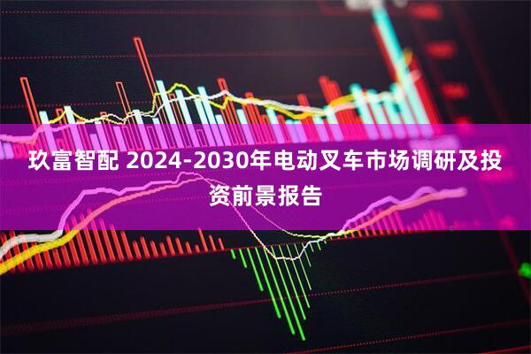 玖富智配 2024-2030年电动叉车市场调研及投资前景报告