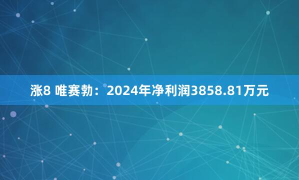 涨8 唯赛勃：2024年净利润3858.81万元