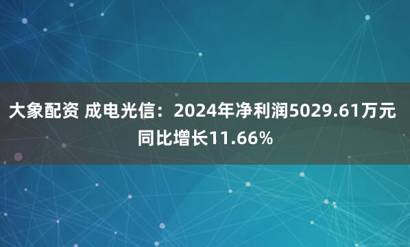 大象配资 成电光信：2024年净利润5029.61万元 同比增长11.66%