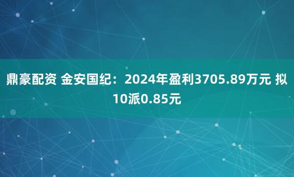 鼎豪配资 金安国纪：2024年盈利3705.89万元 拟10派0.85元