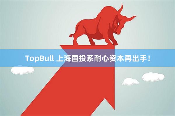 TopBull 上海国投系耐心资本再出手！