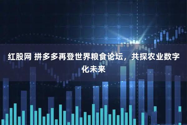 红股网 拼多多再登世界粮食论坛，共探农业数字化未来